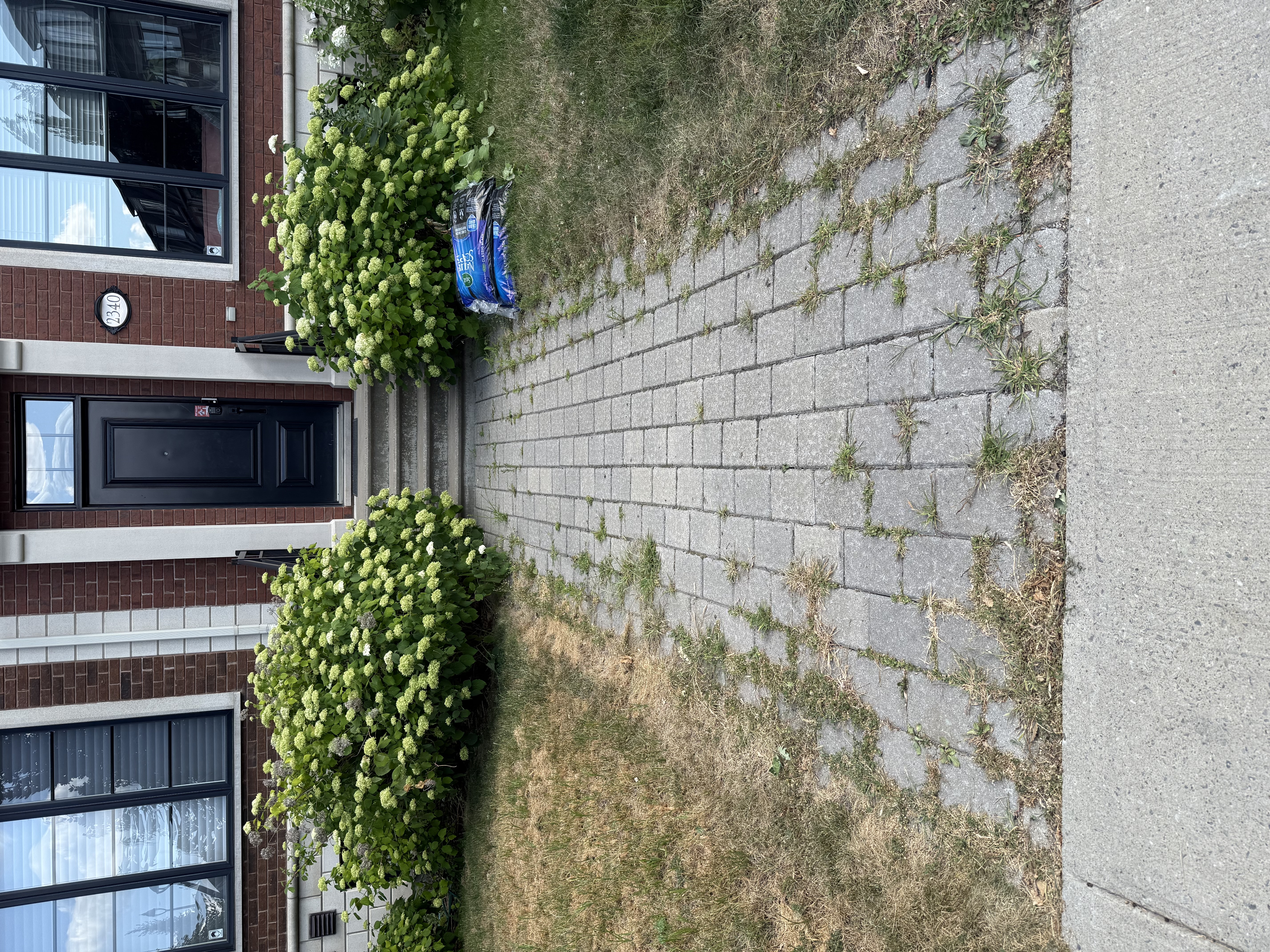 Before — paver work